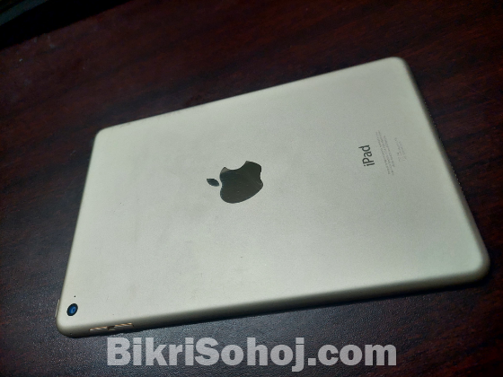 Ipad Mini 4 (Wifi) (iCloud Locked)
